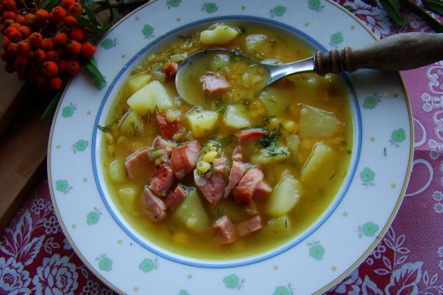 Letnia grochowa Letnia grochowa