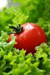 Letnia sałatka Quadiro