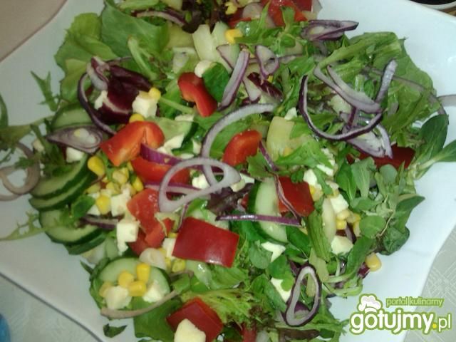 Letnia sałatka z warzyw i mozzarelli  Letnia sałatka z warzyw i mozzarelli