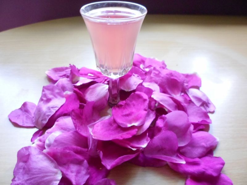 Likier różany z płatków dzikiej róży