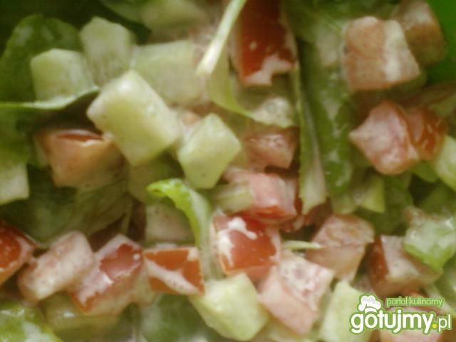 Liście sałaty z pomidorem i ogórkiem Liście sałaty z pomidorem i ogórkiem