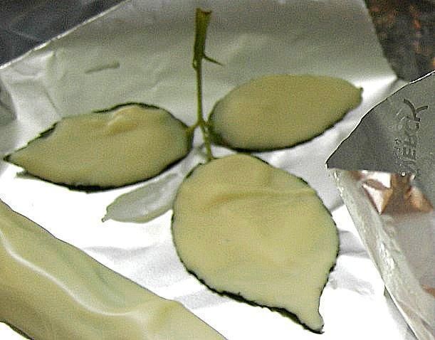 Liscie z czekolady - do dekoracji