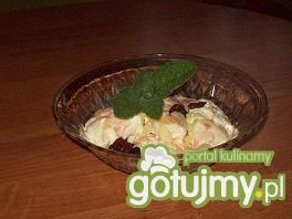 Lody domowe Lody domowe