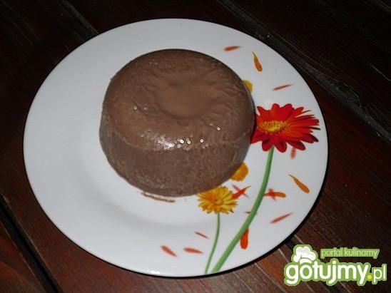 Lody kakaowe na bazie budyniowej Lody kakaowe na bazie budyniowej
