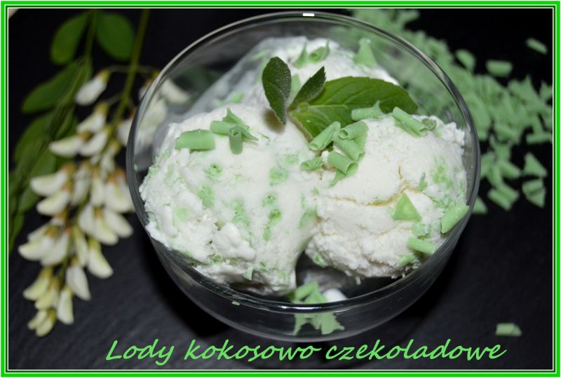 Lody z mleka kokosowego