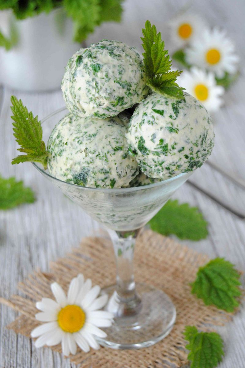 Lody z pokrzywą Lody z pokrzywą