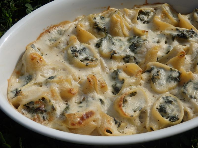 Lumaconi ze szpinakiem zapiekane pod beszamelem Lumaconi ze szpinakiem zapiekane pod beszamelem