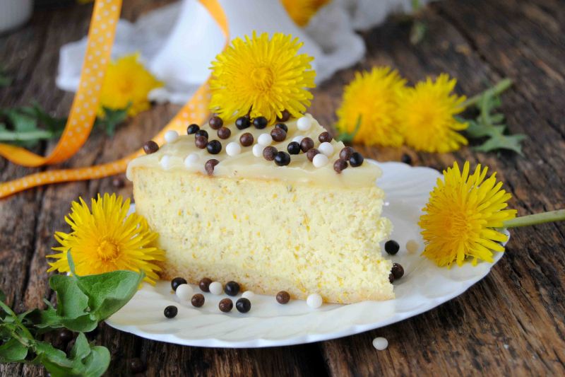 Majowy sernik z mniszkiem lekarskim 