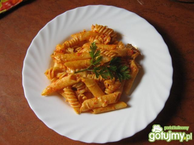 Makaron penne z podravką Makaron penne z podravką