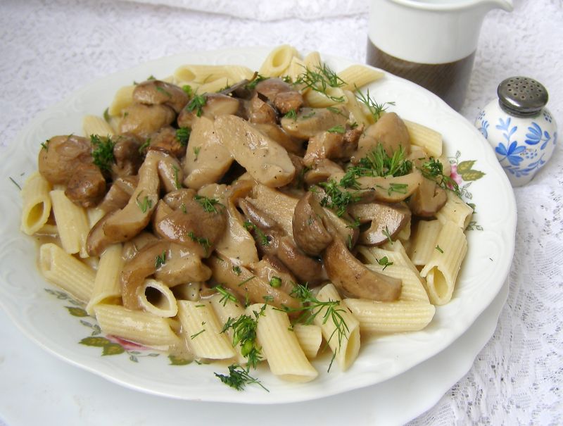 Makaron penne z prawdziwkami Makaron penne z prawdziwkami