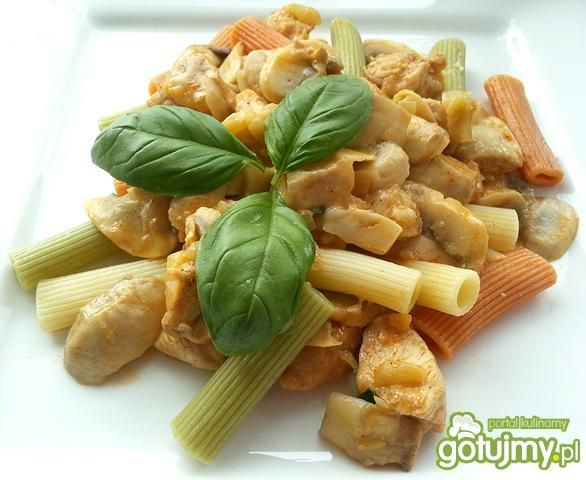 Makaron rurki z pieczarkami i kurczakiem