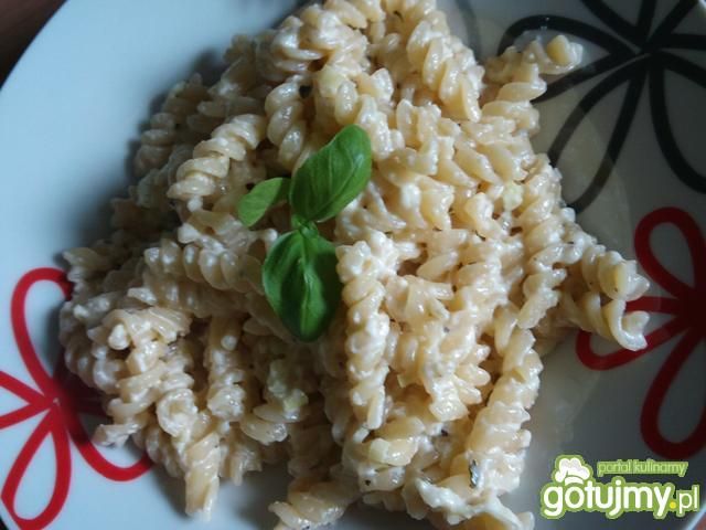 Makaron w sosie czosnkowym z mozzarellą Makaron w sosie czosnkowym z mozzarellą