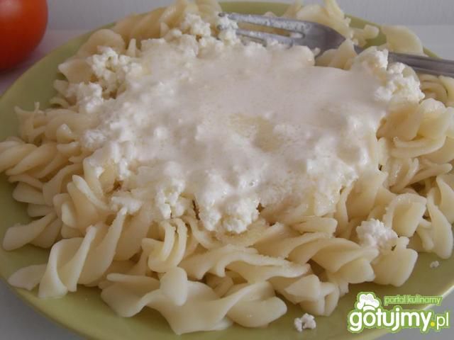 Makaron z serem białym 2 Makaron z serem białym 2