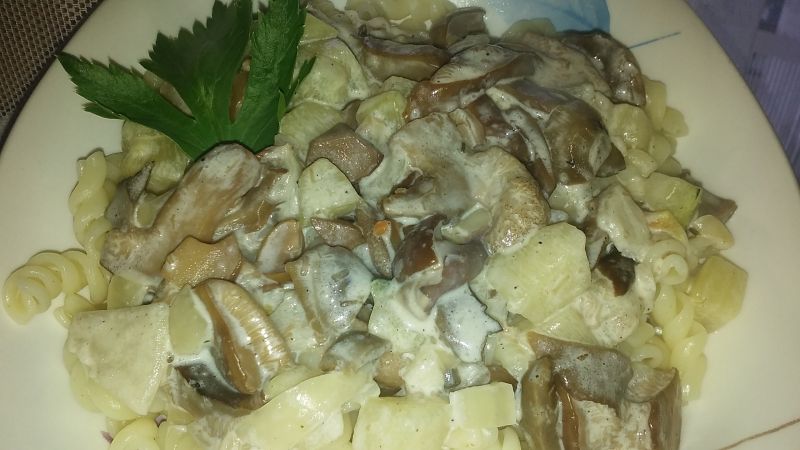 Makaron z sosem grzybowym i cukinią Makaron z sosem grzybowym i cukinią