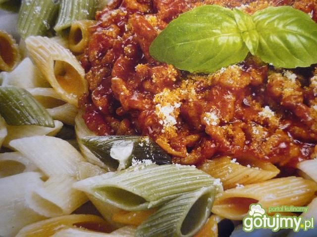 Makaron z sosem pomidorowym Makaron z sosem pomidorowym