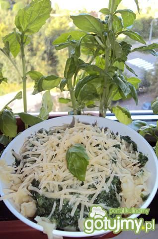 Makaron ze szpinakiem Makaron ze szpinakiem
