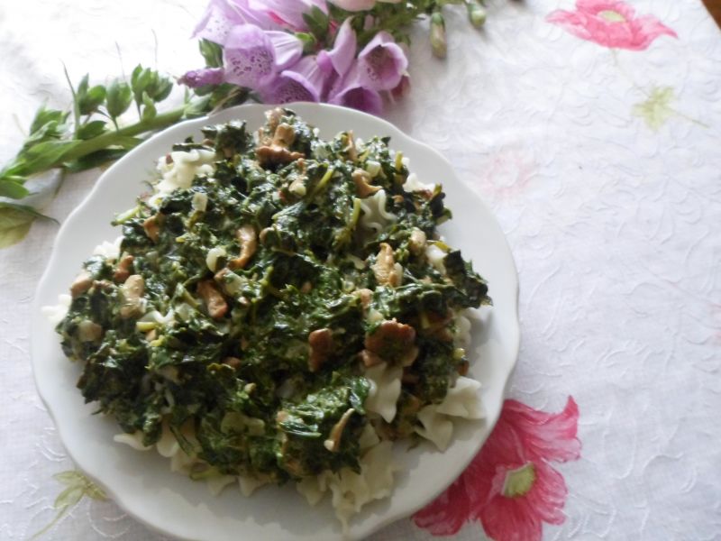 Makaron ze szpinakiem i kurkami Makaron ze szpinakiem i kurkami