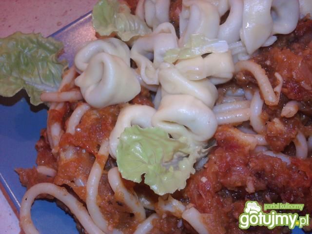 Makarony z gęstym sosem pomidorowym