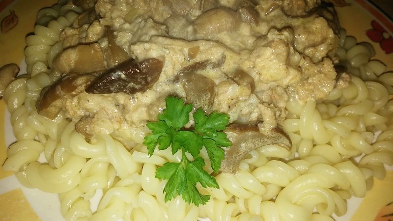 Makaron z mięsem drobiowym i grzybami leśnymi