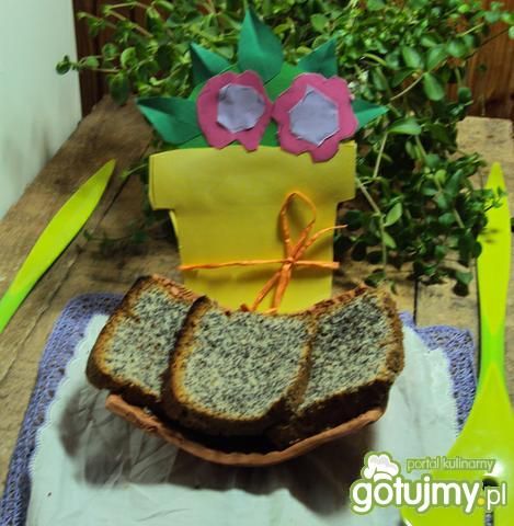 Makowiec, piegusek Makowiec, piegusek