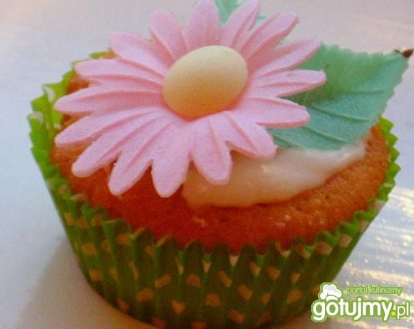 Małe babeczki cup cakes