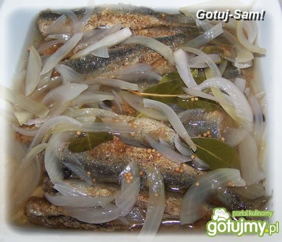 Małe rybki w winnej zalewie 