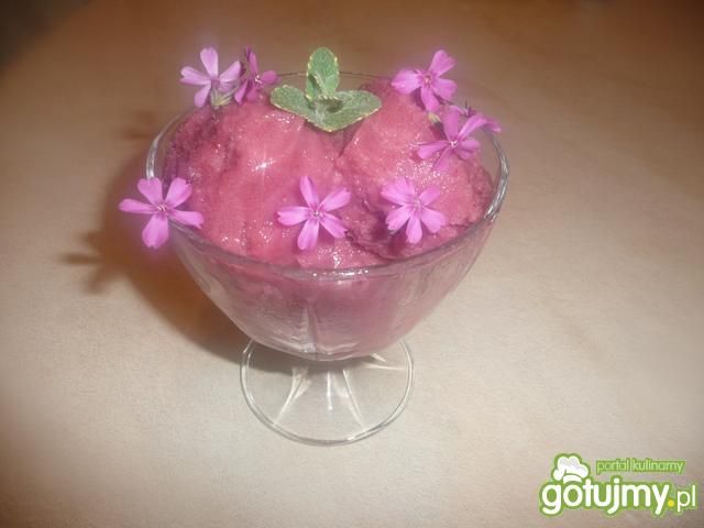 Malinowy sorbet. Malinowy sorbet.