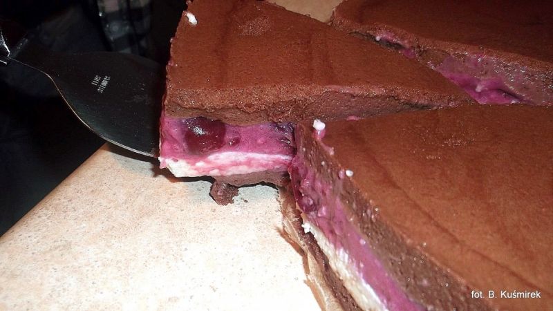 Markiz czekoladowy Markiz czekoladowy