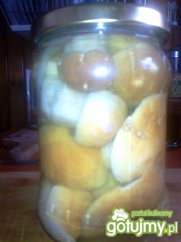 marynowane borowiki
