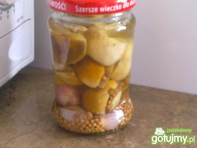 Marynowane Borowiki  Marynowane Borowiki