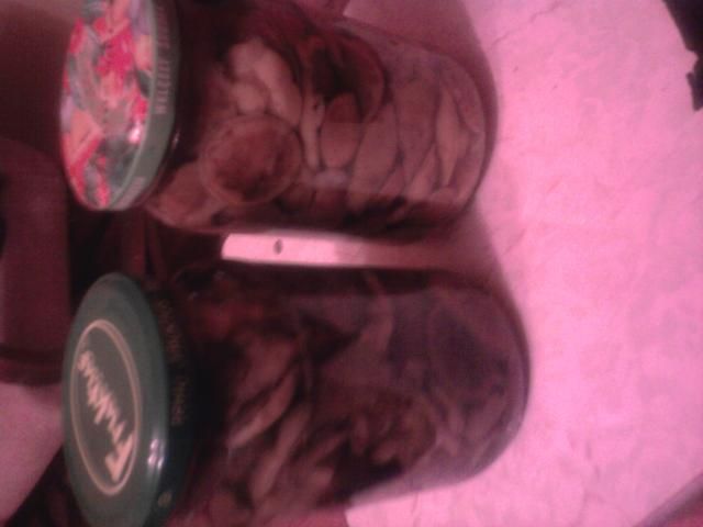 Marynowane grzybeczki