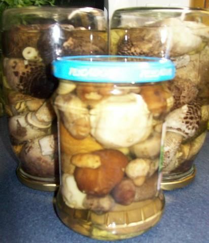 Marynowane grzybki łagodne 