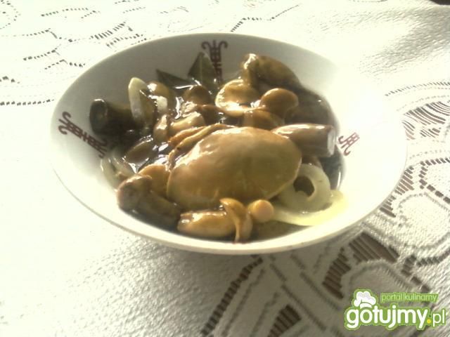 Marynowane grzybki wg joaska500