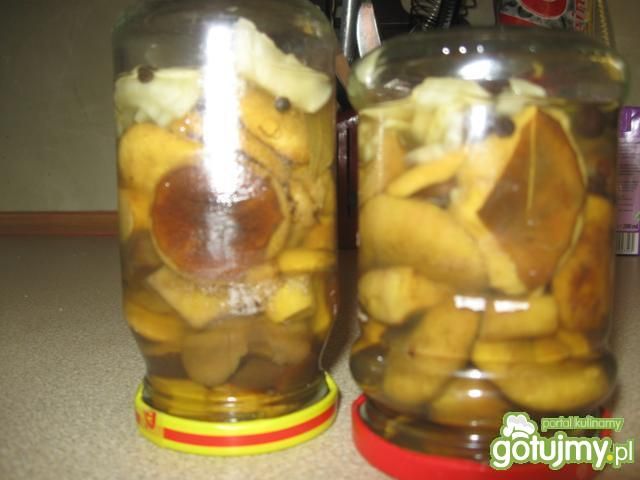 Marynowane grzyby Marynowane grzyby