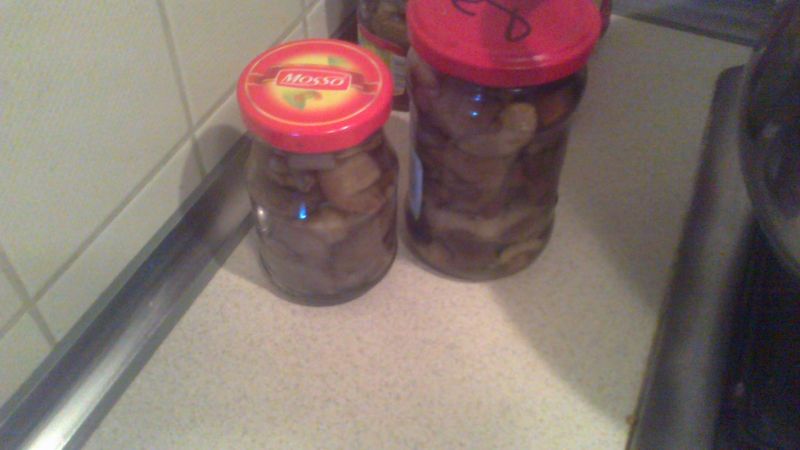 Marynowane Grzyby Leśne