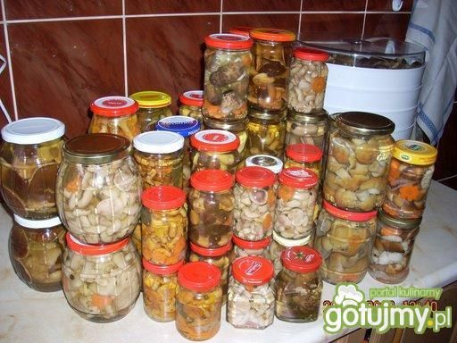 Marynowane grzyby Pyzy  Marynowane grzyby Pyzy