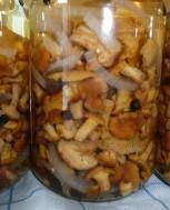 Marynowane kurki