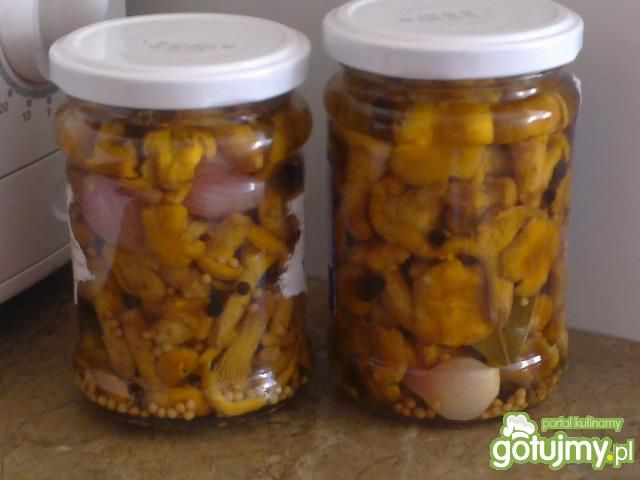 Marynowane kurki  Marynowane kurki