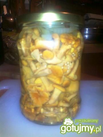 Marynowane kurki w delikatnej zalewie Marynowane kurki w delikatnej zalewie