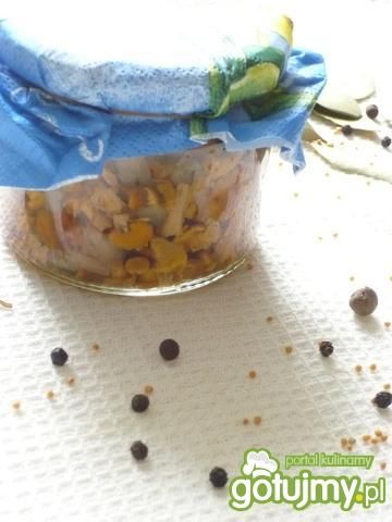 Marynowane kurki wg czekoladka_m