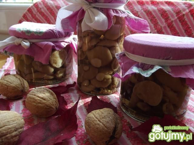 Marynowane maślaczki z goździkami