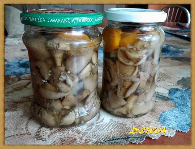 Marynowane maślaki Marynowane maślaki