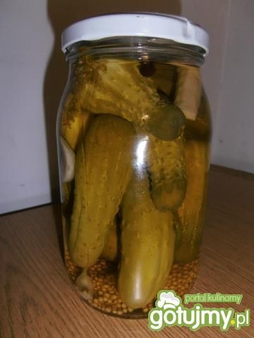 Marynowane ogórki w zalewie Marynowane ogórki w zalewie
