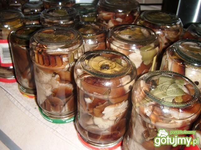 Marynowane opieńki Marynowane opieńki