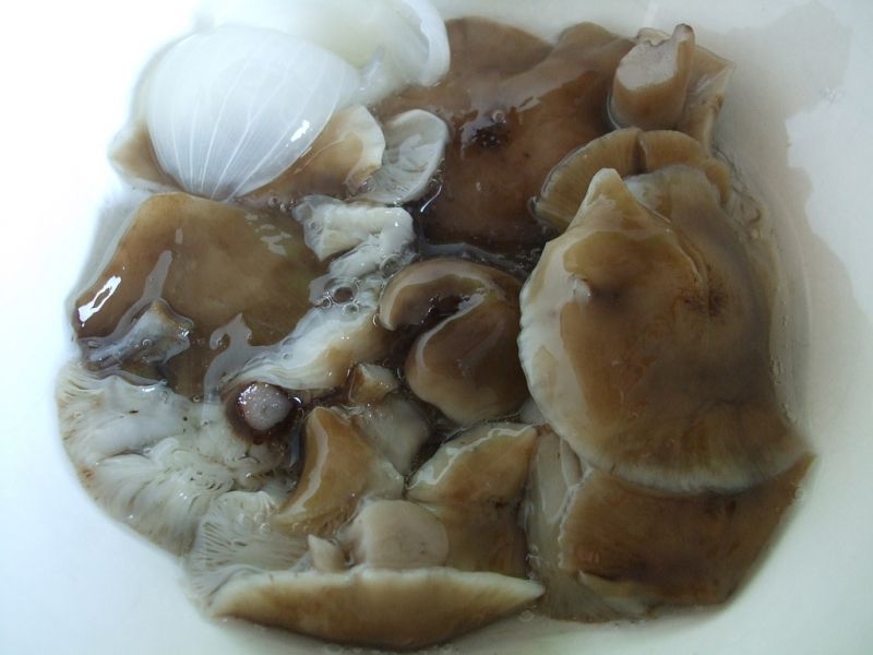 Marynowane opieńki Marynowane opieńki