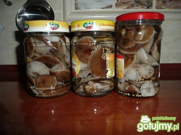 Marynowane opieńki.
