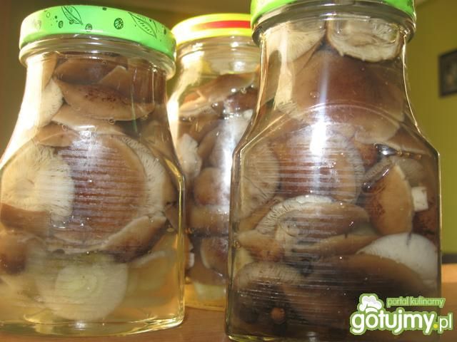 Marynowane opieńki wg Rossie