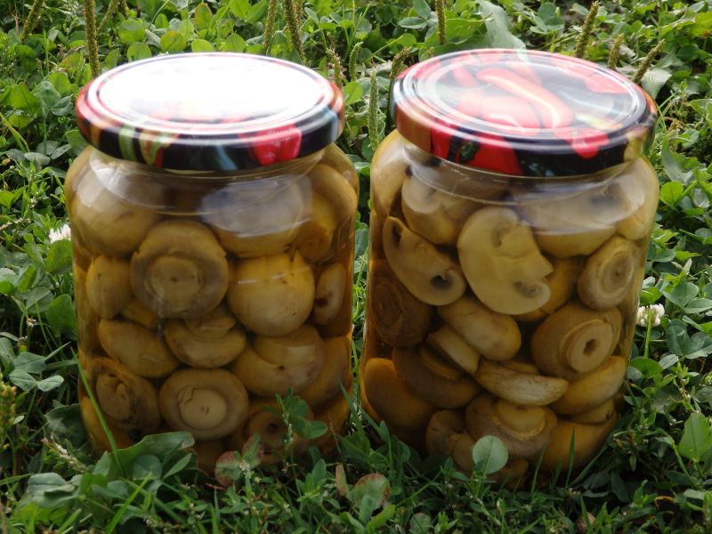 Marynowane pieczarki