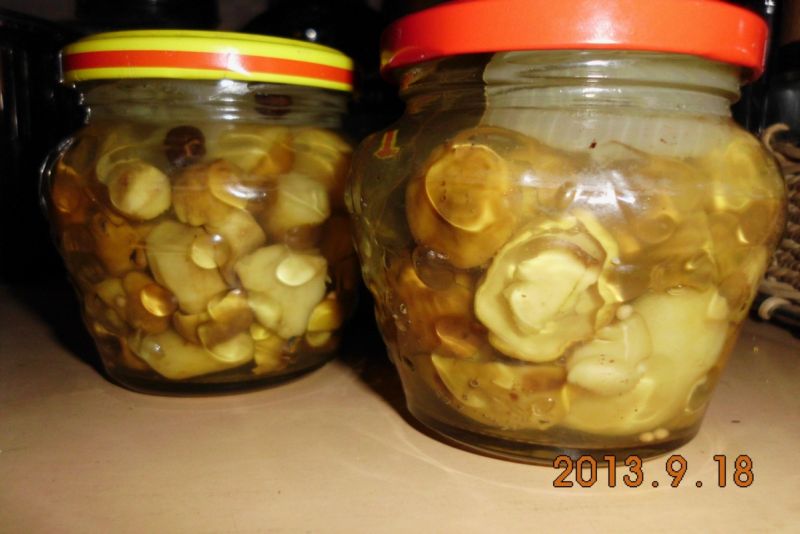 Marynowane podgrzybki Marynowane podgrzybki