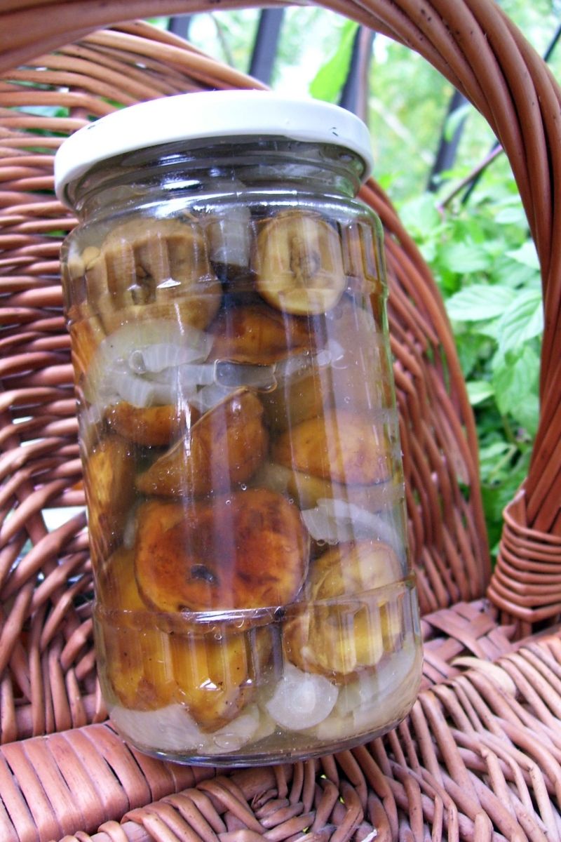 Marynowane podgrzybki